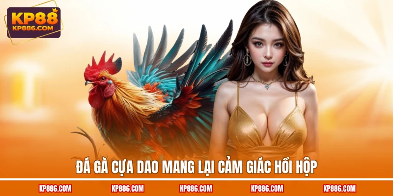 Đá gà cựa dao mang lại cảm giác hồi hộp