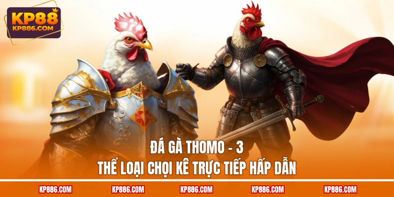 Đá Gà Thomo - 3 Thể Loại Chọi Kê Trực Tiếp Hấp Dẫn