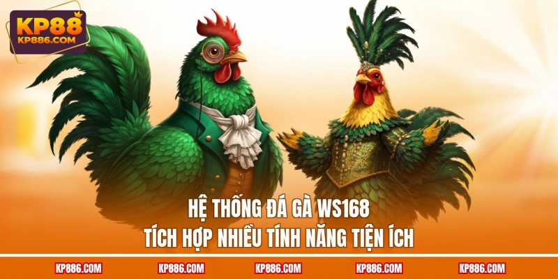 Hệ thống Đá gà WS168 tích hợp nhiều tính năng tiện ích