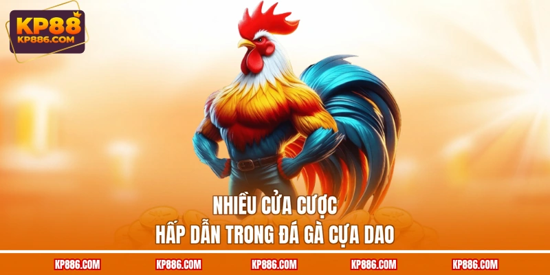 Nhiều cửa cược hấp dẫn trong đá gà cựa dao